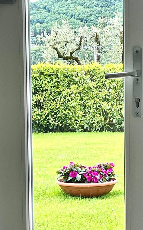 Guest Martilla Luxury & Garden Ngoại thất bức ảnh